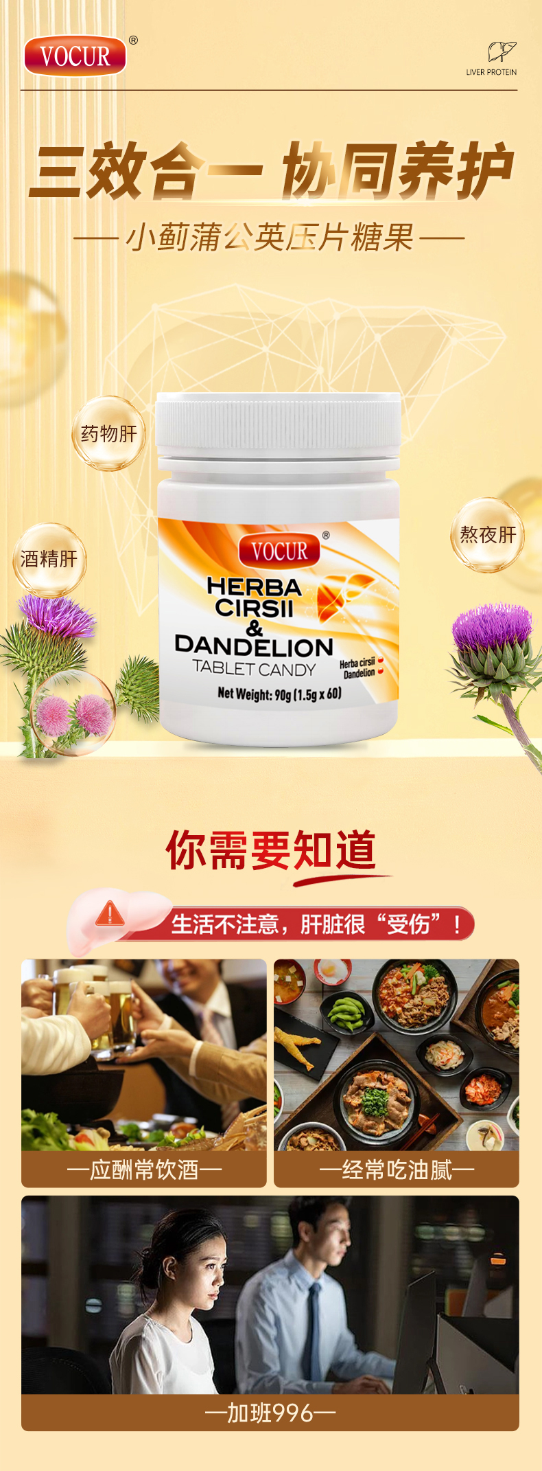 小蓟草详情页_01.jpg