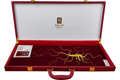 长白山人参野山参A2